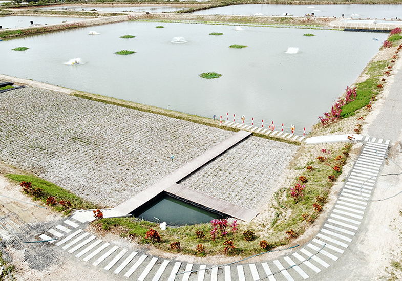 海南文昌水產養殖場尾水治理工程